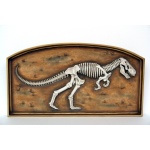 QUADRO FOSSIL DE ESQUELETO DINOSSAURO T-REX