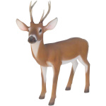 BAMBI