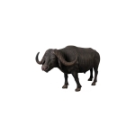 BISONTE